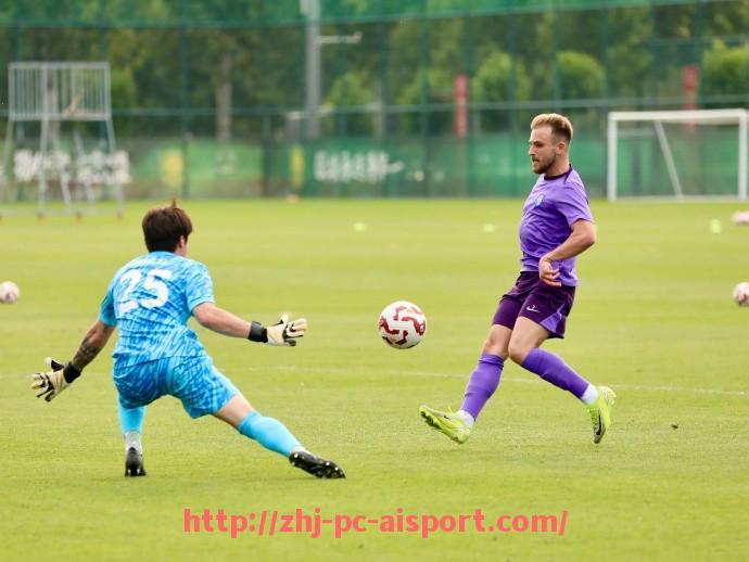 爱体育-法甲球员对比分析及核心竞争力评估