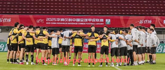 爱体育-法甲球员对比分析及核心竞争力评估